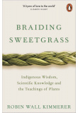 braiding-sweetgrass-c