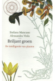 briljant-groen-c