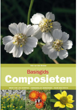 composieten