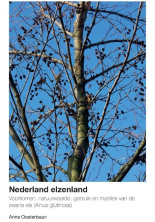 elzenland-c_498192341