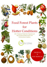 food-forestplants-hotter-conditions-c