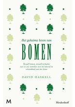 geheime-leven-bomen