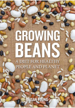 growing-beans-c