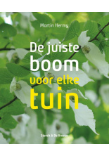 juiste-boom-c