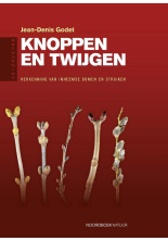 knoppen-twijgen-c