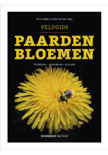 paardenbloemen-c