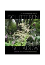 schitteren-schaduw-c