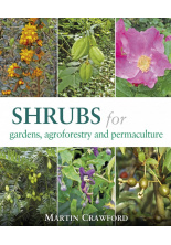 shrubs-martin