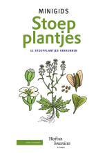 stoepplantjes