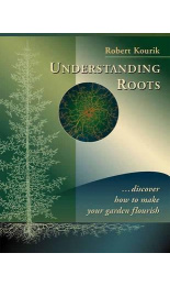 understanding-roots-c