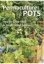 Permaculture in Pots:  How to Grow Food in Small Urban Spaces