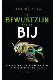 bewustzijn-bij-c