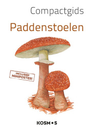 compact-paddenstoelen-c_1083851839