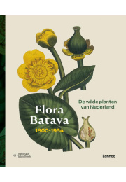 flora-batavia-c