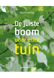 juiste-boom-c