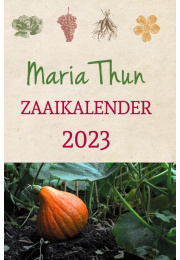 mariathun-2023-c