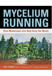 mycelium-running-c