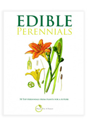 perennial_cover_ebook