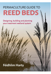 reed-beds-1