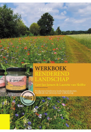 renderend-landschap-c