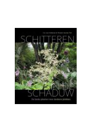 schitteren-schaduw-c