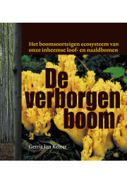 verborgen-boom