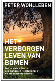 verborgen-leven-bomen