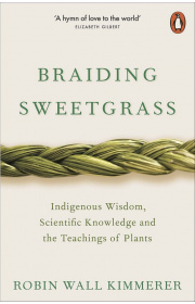 braiding-sweetgrass-c