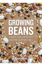 growing-beans-c