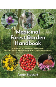 medicinal-forest