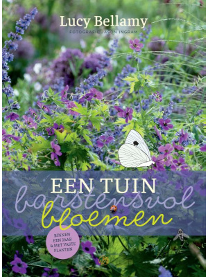 barstensvolbloem-a