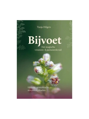 bijvoet-boek-cover-c