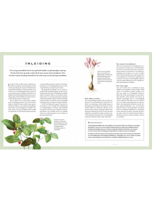 botanicum_medicinale3