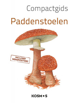 compact-paddenstoelen-c_1083851839