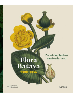 flora-batavia-c