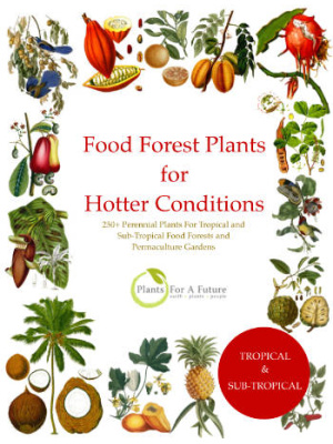 food-forestplants-hotter-conditions-c
