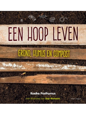 hoop-leven1