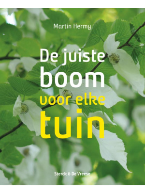 juiste-boom-c