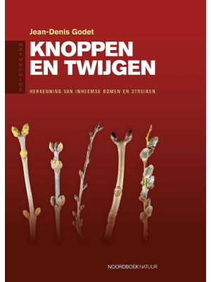 knoppen-twijgen-c