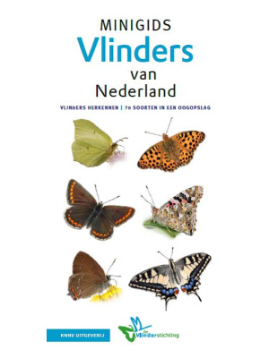 minigids-vlinders_1903784080