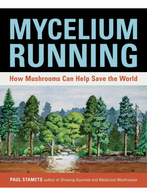 mycelium-running-c