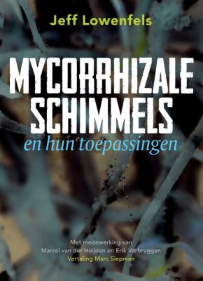 mycorrhizale-schimmls-c