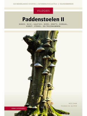 paddenstoelen-2a