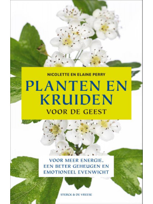 plant-kruid-geest-c