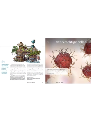 veerkracht-2
