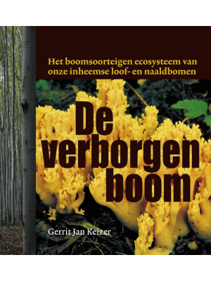 verborgen-boom