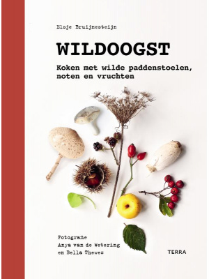 wildoogst-c